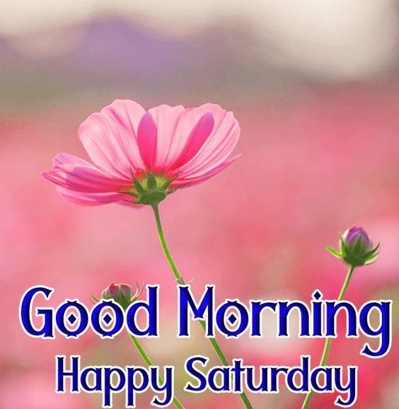 Good Morning Awesome Saturday Status