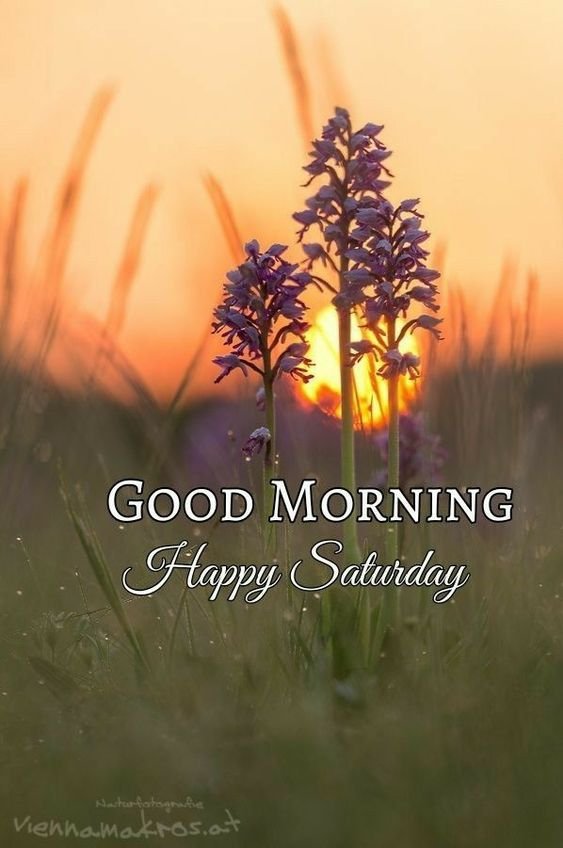 Good Morning Saturday With Beautiful Sunrse Image