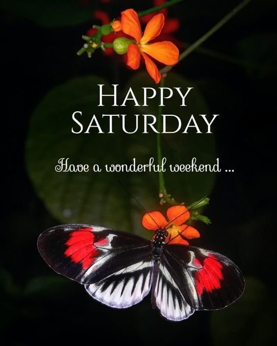 Happy Saturday Have A Wonderful Weekend Image