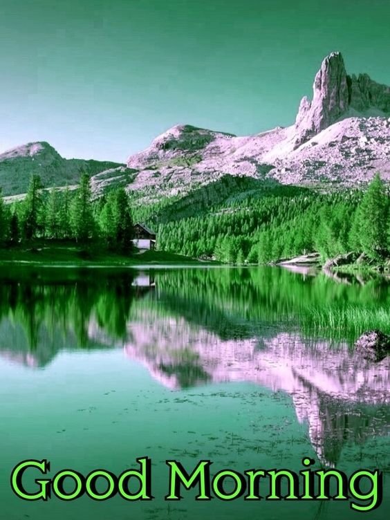 Good Morning Nature Picture