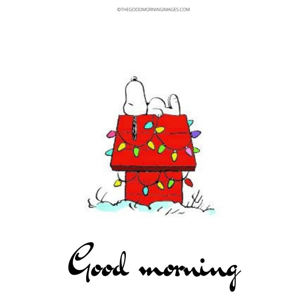 Good Morning Snoopy Best Pic