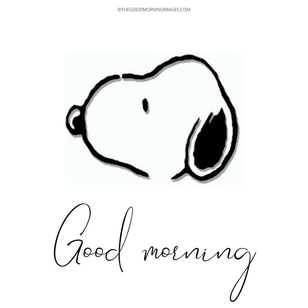 Good Morning Snoopy Photos