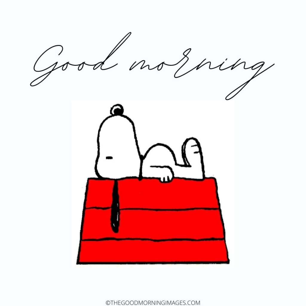 Snoopy Good Morning Best Photo