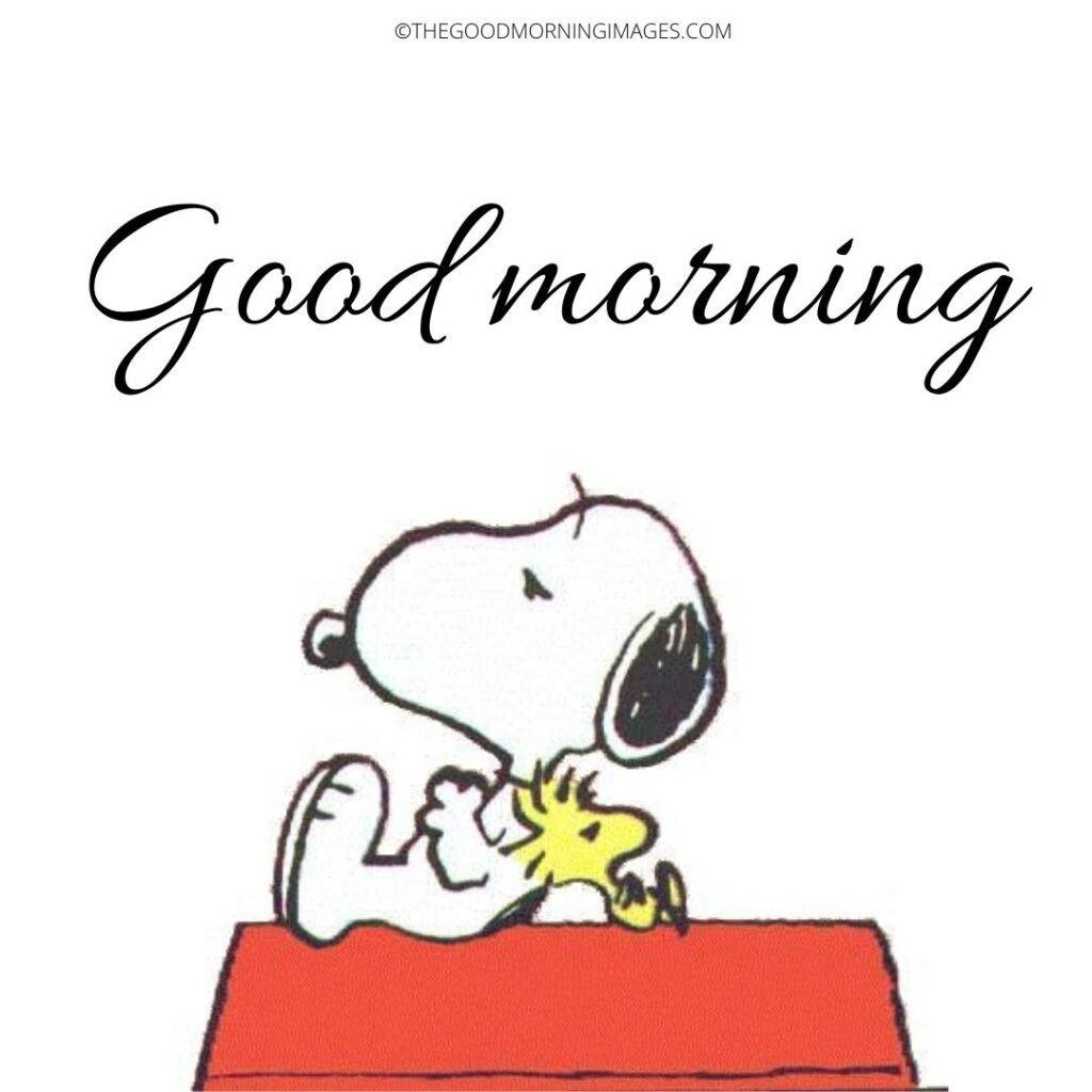 Snoopy Good Morning Wonderful Bird Image