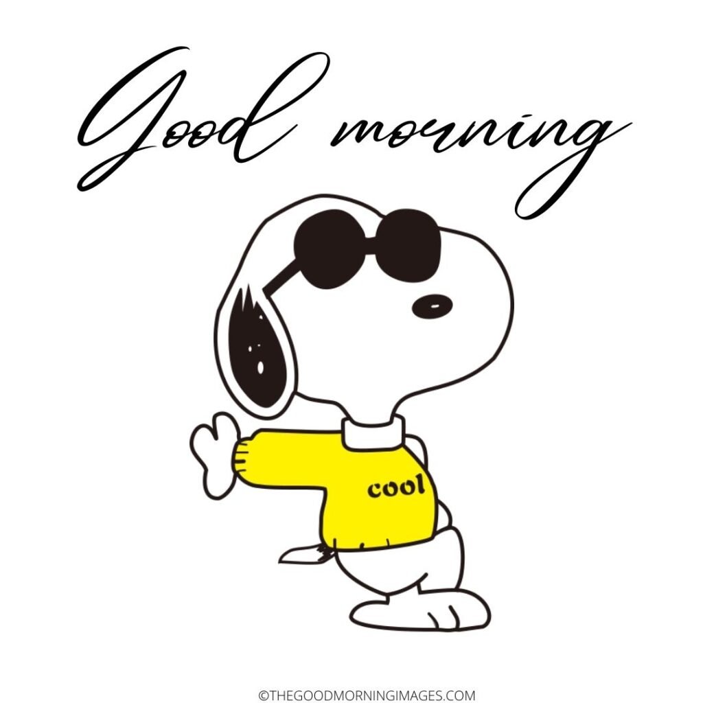 Snoopy Good Morning Wonderful Image
