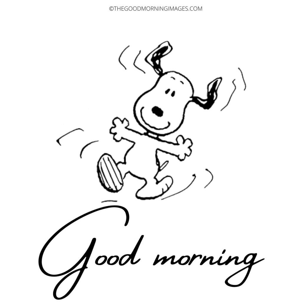 Snoopy Good Morning Wonderful Images