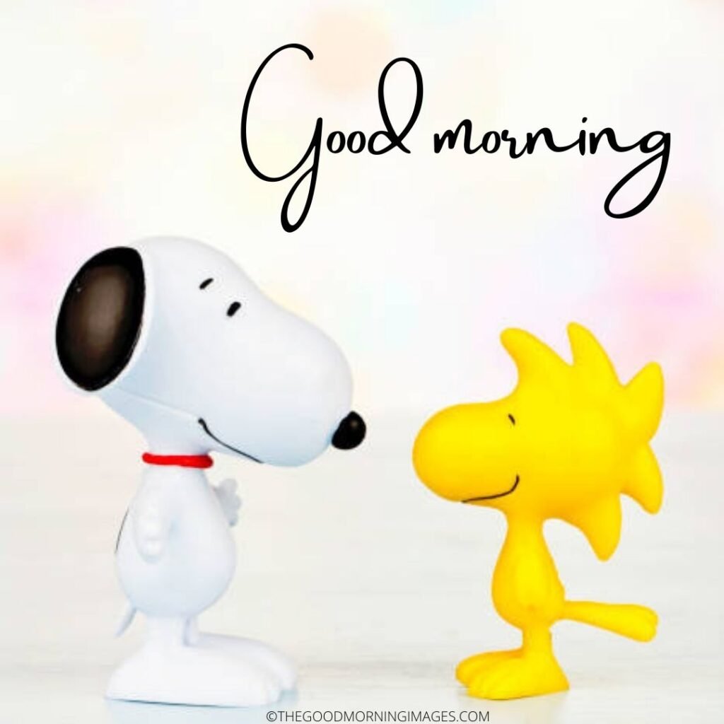 Snoopy Good Morning Wonderful Photo