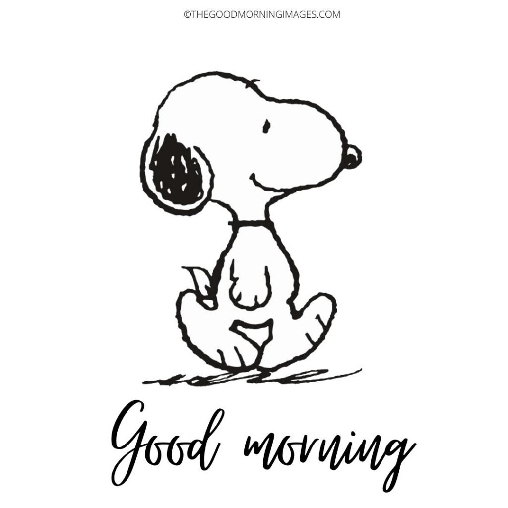 Snoopy Good Morning Wonderful Pictures Pic