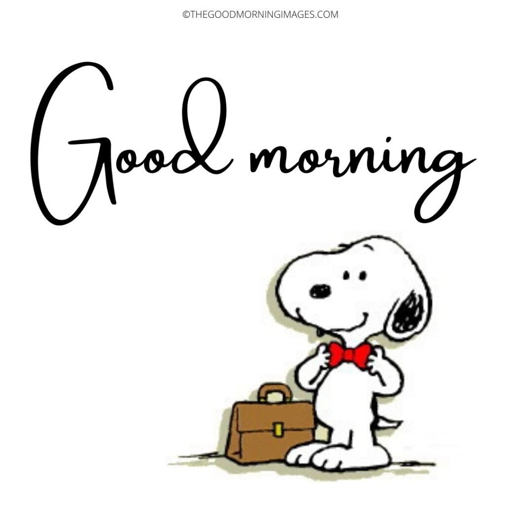 Snoopy Good Morning Wonderful Pictures