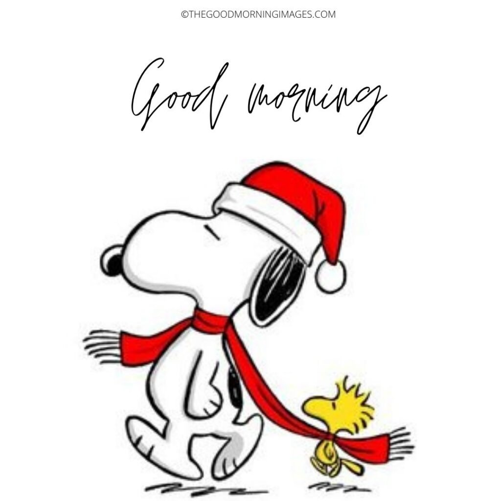 Wonderful Snoopy Good Morning