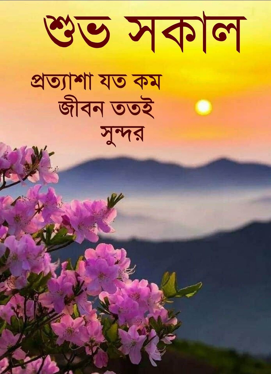 Amazing Bengali Good Morning Picture