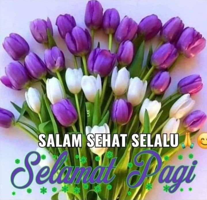 Amazing Good Morning Indonesian Photo
