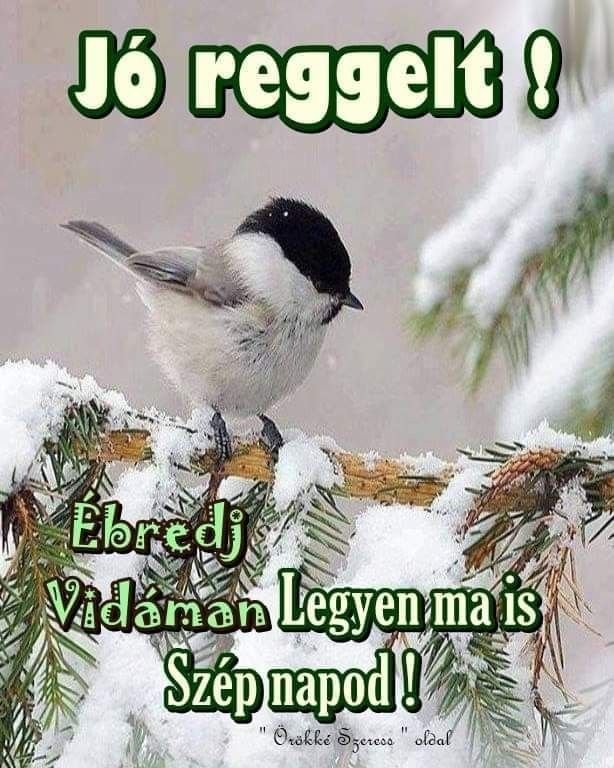 Awesome Good Morning Hungarian Pic