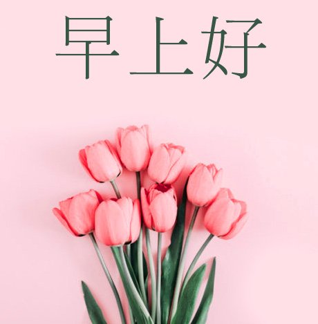 Beautiful Chinese Flowers Image