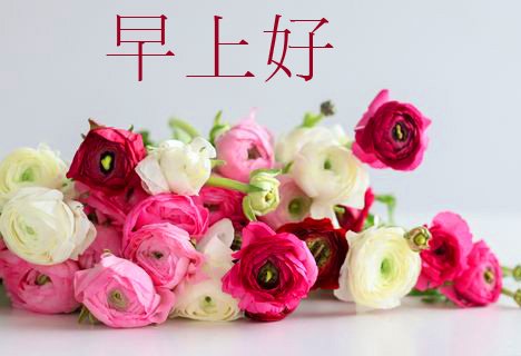 Bright Flowers Chinese Pic