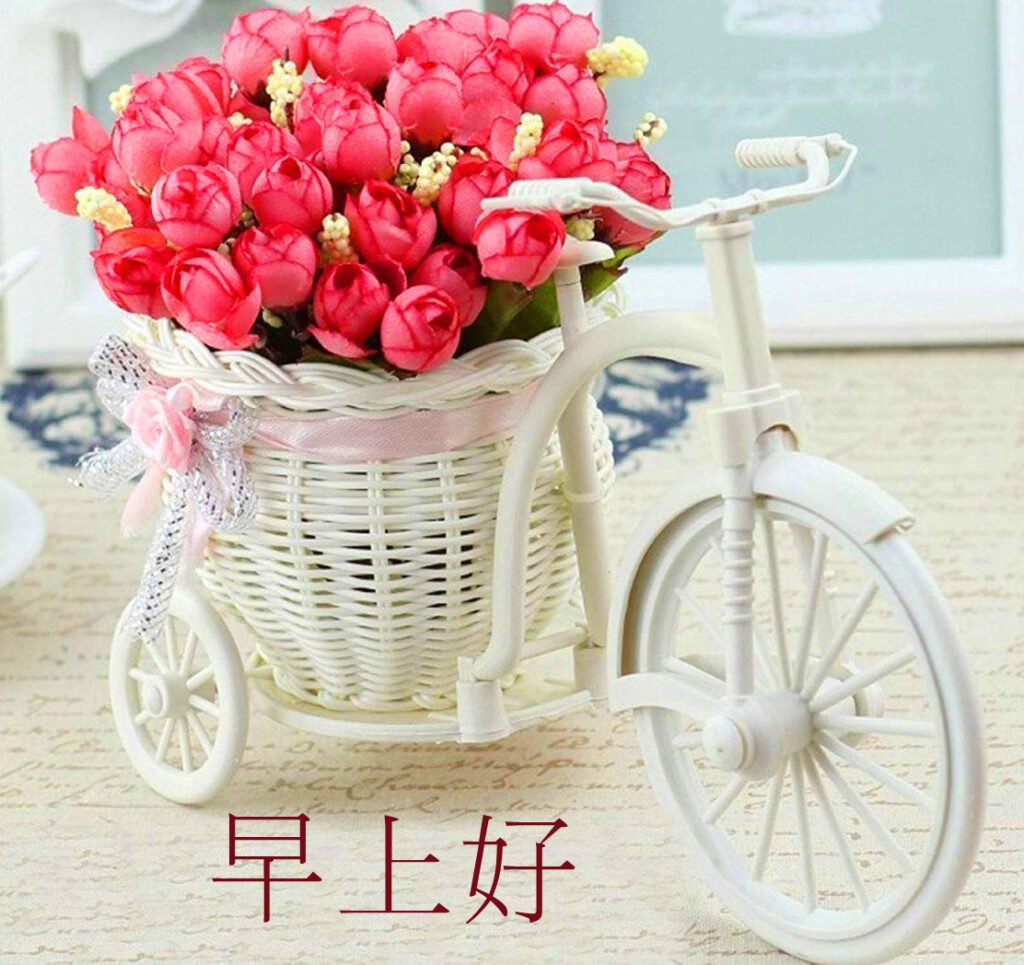 Chinese Flowers Cycle Pic Hd