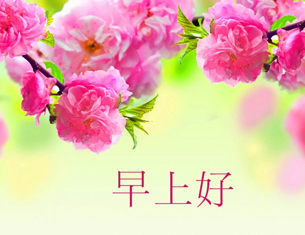 Chinese Flowers Hd Wallpaper