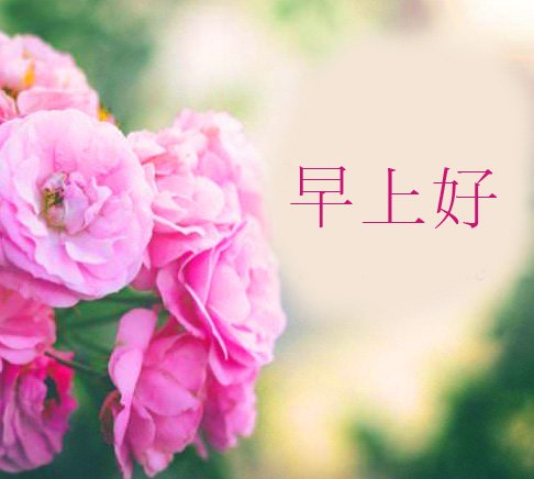 Chinese Flowers Picture Hd