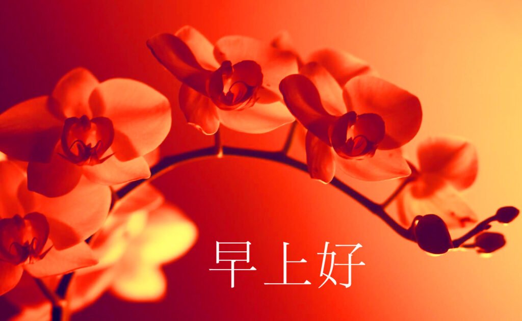 Cute Flowers Chinese Wallpaper