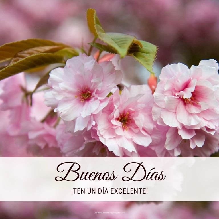 Fantastic Good Morning Spanish