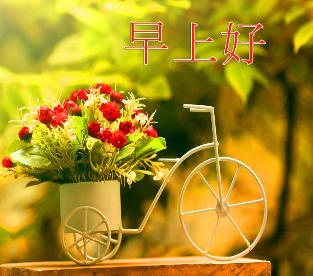 Flowers Cycle Chinese Image