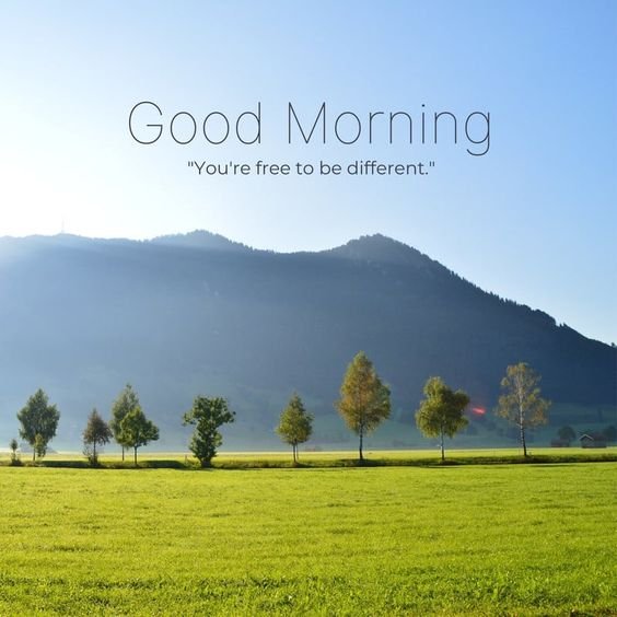 Good Morning Green Picture
