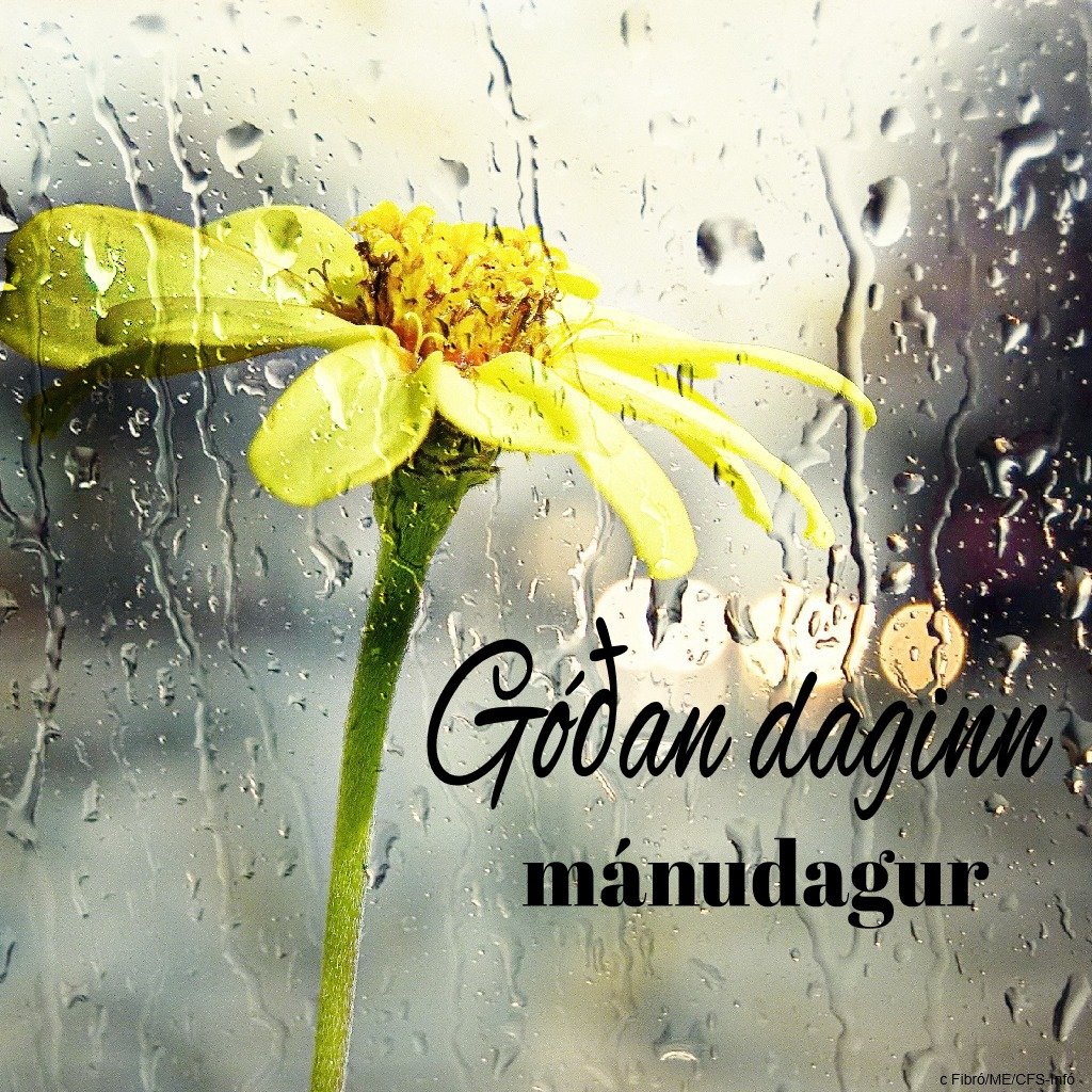 Good Morning Icelandic Monday