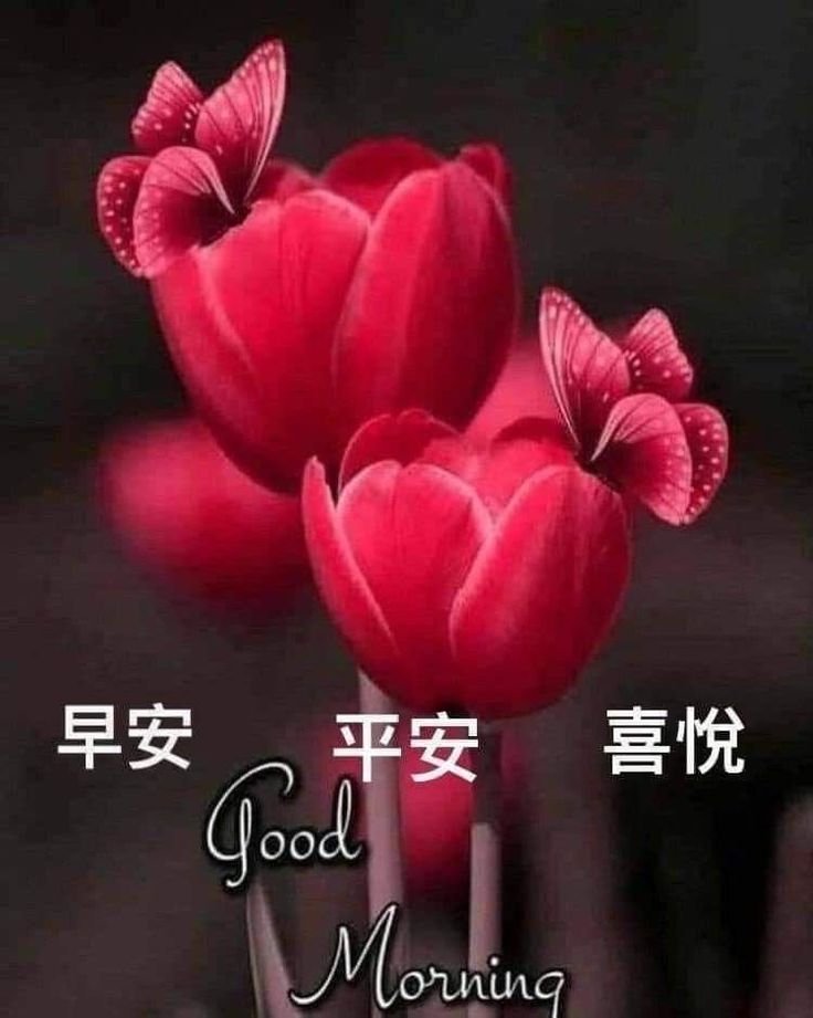 Good Morning In Chinese Flower