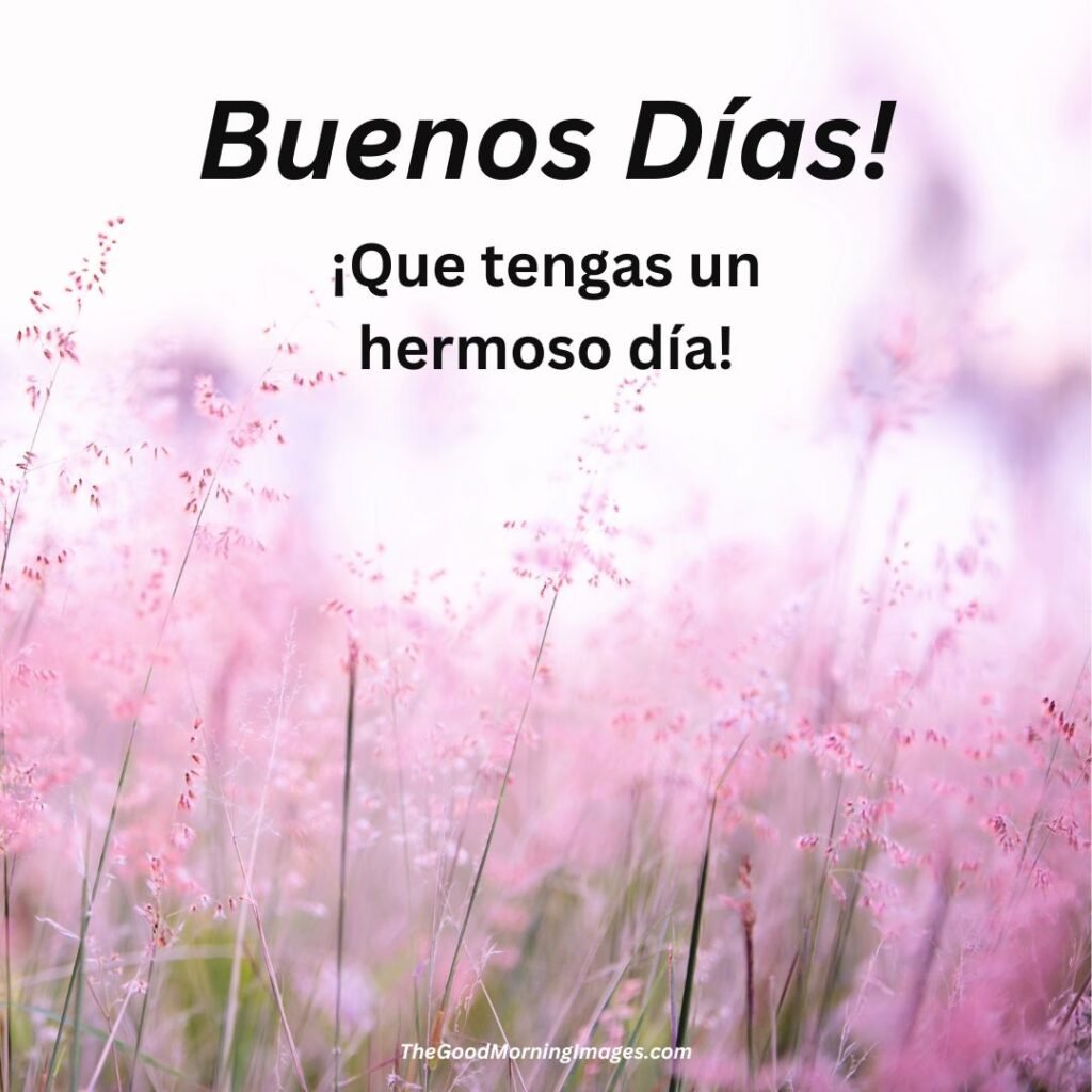 Good Morning Spanish Pic