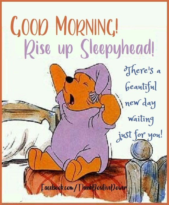Good Morning Winnie The Pooh Rise Up Sleepyhead