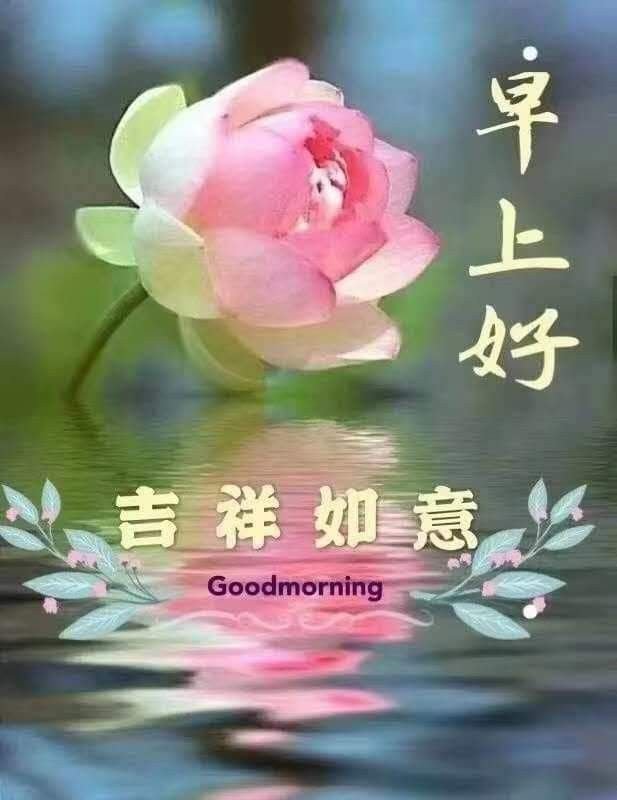 Good Morning Wish In Chinese