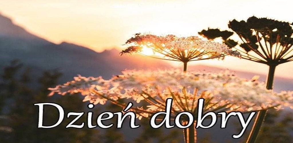 Great Good Morning Polish