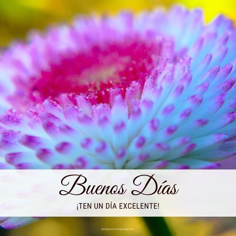 Image Of Good Morning Spanish