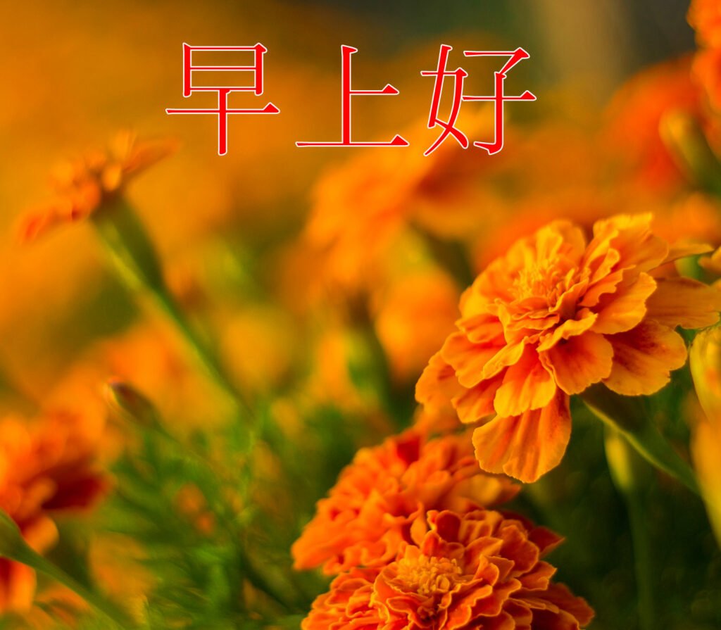 Orange Flowers Chinese Wallpaper