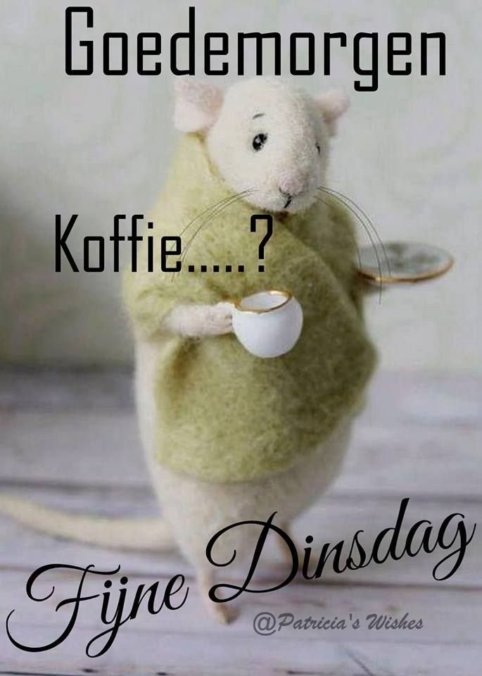Outstanding Good Morning Dutch Photo