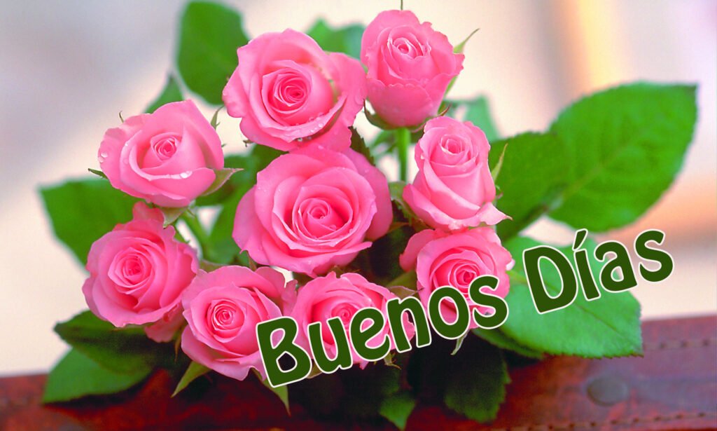 Pink Flowers Buenos Dias Image